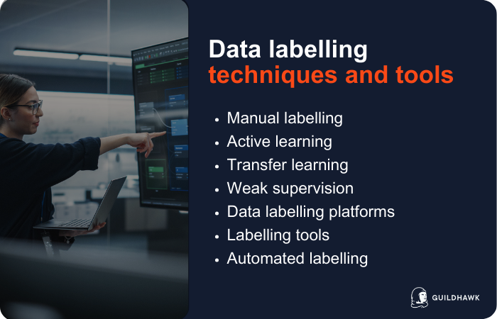 Data labelling techniques and tools